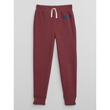 GAP Kids Sweatpants - Boys Cijene