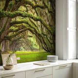  Foto tapeta - Tree embrace 150x105 | shoptok.hr
