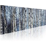  Slika - White birches 120x40 | shoptok.hr