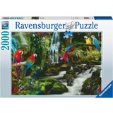 Ravensburger puzzle (slagalice) šareni papagaj RA17111
