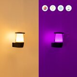Wiz LED vanjska svjetiljka 8 W Elpas – | shoptok.hr