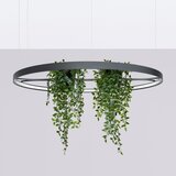 Thoro Črna aluminijasta LED viseča svetilka &amp;oslash; 110 cm RIO &amp;ndash; Slike