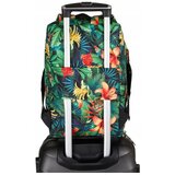 Peterson rovicky188280 sarena | shoptok.hr