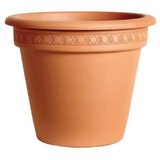 Degrea Saksija Terracotta Camelia Classica 32 cm Cene