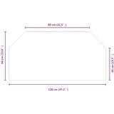  ploča za kamin *Transparent*an 120 x 60 cm Stakl | shoptok.hr