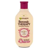 Garnier Botanic Therapy Ricinus Oil & Almond okrepitveni šampon 250 ml za ženske | Shoptok.si