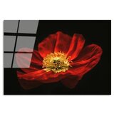 WALLXPERT dekorativna slika od kaljenog stakla cvetan cvet crvenog maka (uv 204) 70 x 100cm | ePonuda.com
