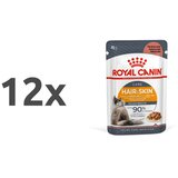 Royal Canin Intense Beauty - žele 12 x 85 g Cene