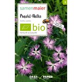 Samen Maier Ekološki divji cvet nageljček "Dianthis superbus" | Shoptok.si