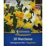 KIEPENKERL Mega pakiranje narcis "Steingarten Mix" - 20 k. Cene