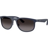 Ray-ban RB4468 6331T3 Polarized - ONE SIZE (59) Cijene