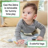 Kids II INGENUITY BEBI STOLICA - PROP SPOT™ LEARN-TO-SIT™ - CASI™ 16930 4-12M | Eponuda.com