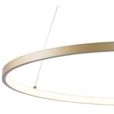 Zuma line 2023201-GD80 - led luster na sajli breno LED/36W/230V 3000/4000/6000K | Eponuda.com
