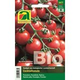 AUSTROSAAT Bio Cocktail paradižnik "Zuckertraube" Cene