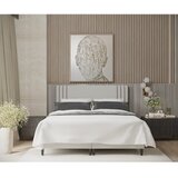 Maison de Rêve Svetlo siva oblazinjena zakonska postelja s prostorom za shranjevanje 180x200 cm Musca – | Shoptok.si