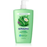 Schwarzkopf Schauma 7 Herbs Freshness zeliščni šampon za normalne in mastne lase 1000 ml | Shoptok.si