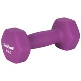 Rebel ACTIVE Neopren HEX bučice, par 2x2.5 kg, model RBA-2330-2.5 | Eponuda.com