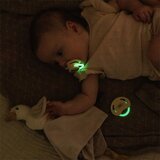 BabyOno Take Care Symmetrical Silicone Soothers duda Day & Night 0-6m 2 kos | Shoptok.si