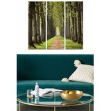 Wallity Set slika MDF2977121, 3 dijela | Eponuda.ba