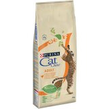 Purina cat chow suva hrana za mačke sa ukusom piletine 15 kg adult Cene
