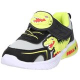 Bull Boys DNAL5141 Višebojna | shoptok.hr