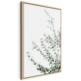  Slika - Eucalyptus Parvifolia (1 Part) Vertical 40x60 | shoptok.hr