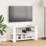  Stalak za TV Bijelo 100 x 40 x 50 cm | shoptok.hr