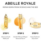 Guerlain Abeille Royale Honey Treatment Day Cream Age-Defying Programme set za njegu lica | shoptok.hr