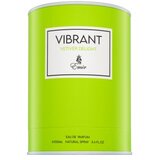 Emir Vibrant Vetiver Delight parfemska voda unisex 100 ml | shoptok.hr