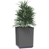  Sadilice 2 kom crne 30 x 30 x 37 cm od polipropilena | shoptok.hr