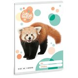 Ars Una Črtasti zvezek za 3. razred : Ljubka rdeča panda A/5 12-32 | Shoptok.si