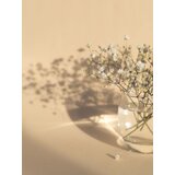 Venture Home poster White Flowers 21 × 30 cm, bež | shoptok.hr