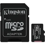 memorijska kartica 256GB SDS2/256GB class 10 u