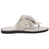 Wonders Japonke 1587LATTE Bež | Shoptok.si