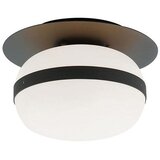  Plafonsko svetlo PALMA 1xE27/40W/230V crno Cene