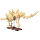 Cada Kockice fosil Stegosaurus/297 delova | Eponuda.com