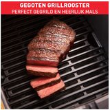 Tefal Crna friteza Easy Fry & Grill - | shoptok.hr