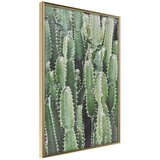  Poster - Cactus Plantation 40x60 Cijene