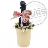  Vaza krem | ePonuda.com