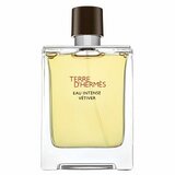 Hermès Terre D&apos;Hermes Eau Intense Vetiver parfémovaná voda za muškarce 100 ml | shoptok.hr