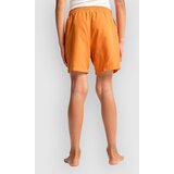 Billabong All Day Kids Boardshorts clay orange | Shoptok.si