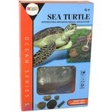 Ammonite Turtle Excavation Educational Kit | shoptok.hr