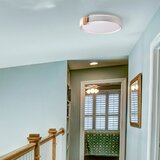  LED prigušiva plafonsko svetlo za kupatilo ARLETTA LED/48W/230V IP44 + daljinski upravljač | Eponuda.com