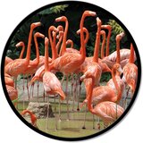 Pintdecor Zidni ukras Flamingo | shoptok.hr