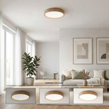 Brilagi LED stropno svetlo MANAROLA SMART LED/24W/230V, prigušiva, prečnik 41 cm + daljinski upravljač | Eponuda.com