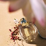 Chloé Nomade Lumière D'Égypte 75 ml parfumska voda za ženske | Shoptok.si