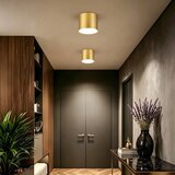  Immax NEO 07318L - LED prigušiva stropna lampa RONDATE 32W/230V 16,5 cm Wi-Fi Tuya zlatna | Eponuda.com