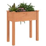  Sadilica s oblogom smeđa 71 x 37 x 76 cm od masivne jelovine | shoptok.hr