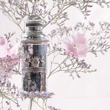 Alexandre.J The Collector: Silver Ombre parfumska voda uniseks 100 ml | Shoptok.si