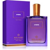 Molinard Les Elements Collection Ambre parfemska voda 75 ml unisex | shoptok.hr